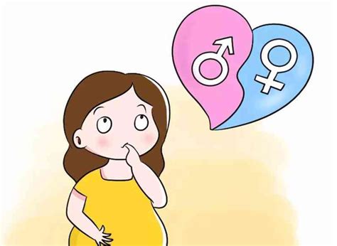 生男生女基因|到底是谁决定了生男生女？